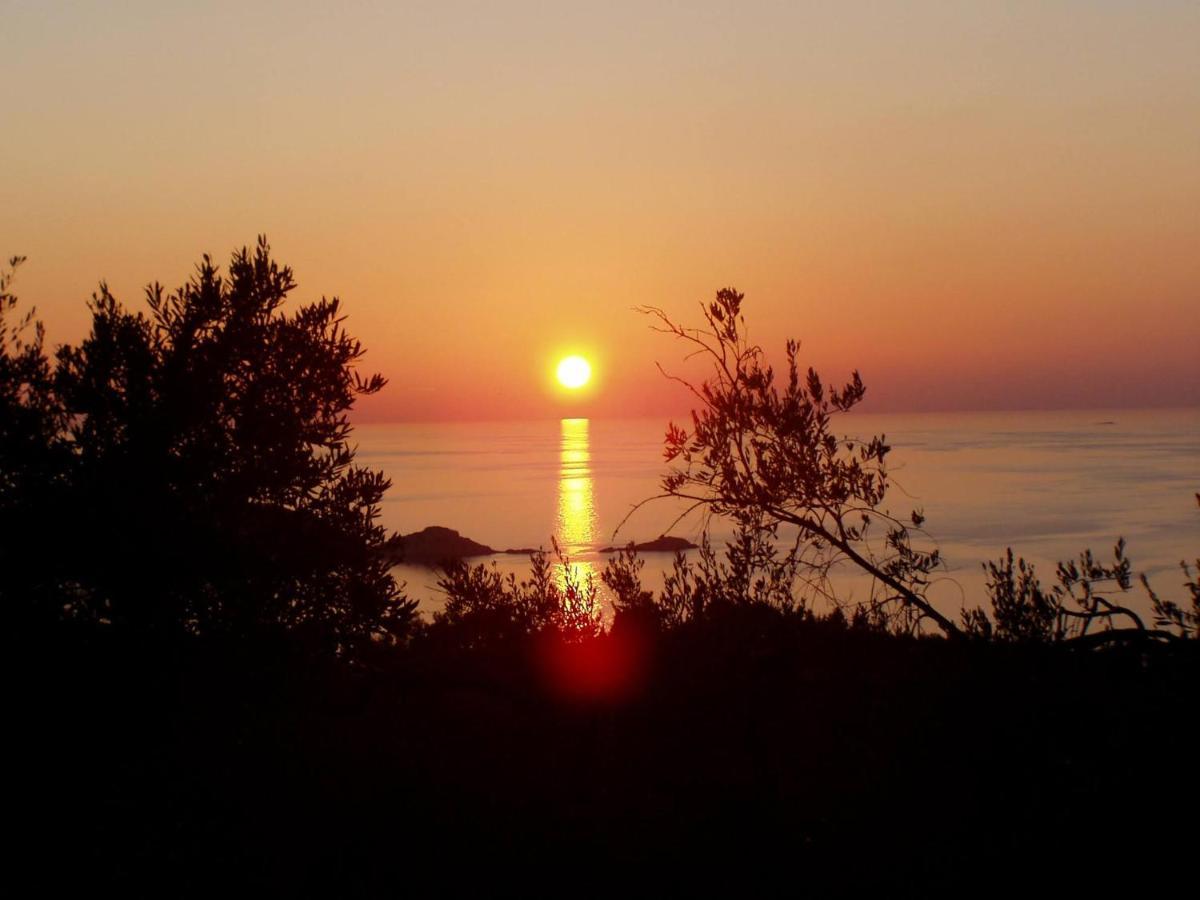 Villa Gecko, Arillas Kavvadades 외부 사진